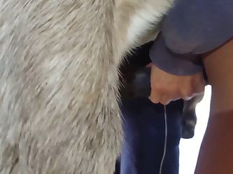 Denise Nicole Frazier Dog Video Porn