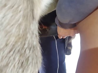 Denise Nicole Frazier Dog Video Porn