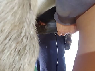 Denise Nicole Frazier Dog Video Porn