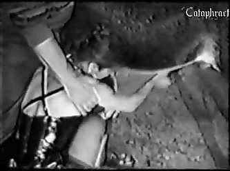 Man Fucks Dog Porn Video