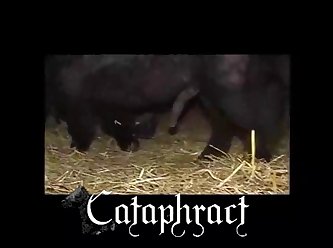 Xxx Sex Xnxx Video