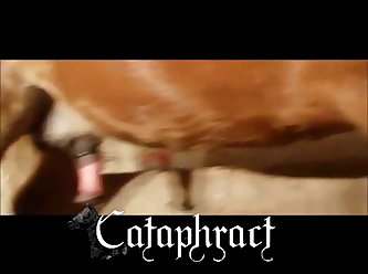 Xxx Sex Xnxx Video