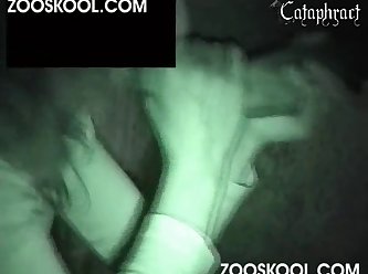 Xxx Hub Xnxx