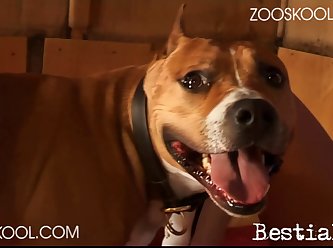 Attila Schulter Porn