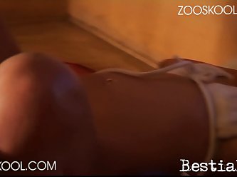 Attila Schulter Porn