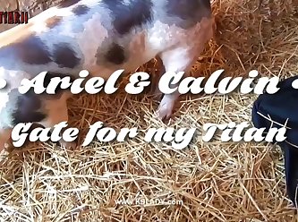 Art Of Zoo Hentai boar