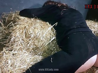 Ai Generated boar Porn