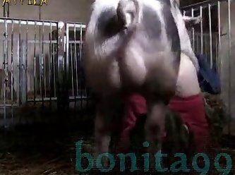 Xnxx Bhabi Xxx boar