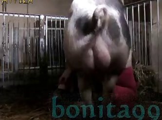 Xnxx Bhabi Xxx boar