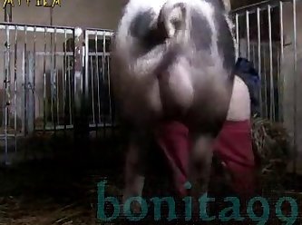 Xnxx Bhabi Xxx boar
