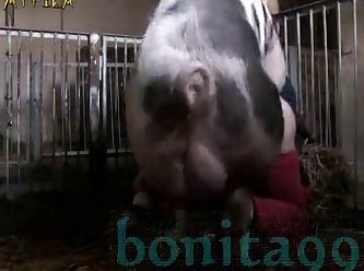 Xnxx Bhabi Xxx boar
