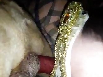 Dog Fleshlight Zoo Porn