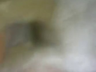 Animal Sex Brutal