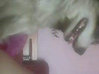 Animal Sex Brutal