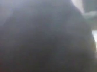 Steven Universe Human Zoo Porn