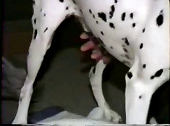 King Of The Zoo Porn