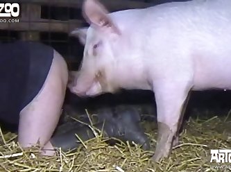 Lady And Animal Sex Videos