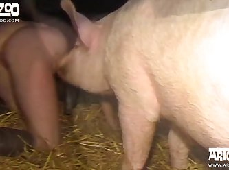 Lady And Animal Sex Videos