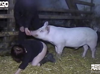 Lady And Animal Sex Videos