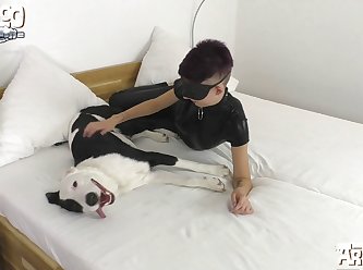 Animal Sex Girl Horse