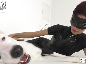 Animal Sex Girl Horse