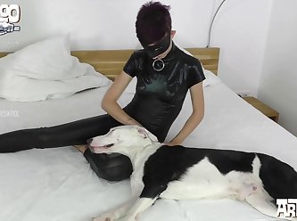 Animal Sex Girl Horse