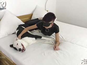 Animal Sex Girl Horse