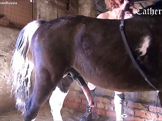 Gay Animal Sex Horse