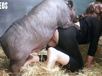 Animal Sex Hardcore