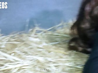 Animal Sex Hardcore