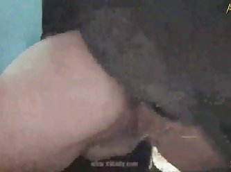 Animal Sex Anime Porn