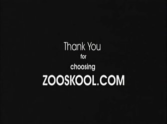 Black Women Zoo Porn