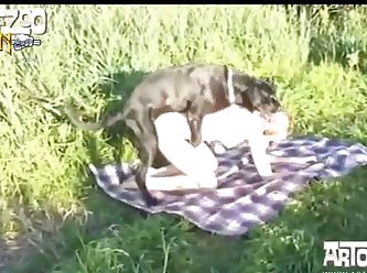 Art Of Zoo Porn Teen