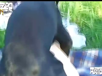 Art Of Zoo Porn Teen