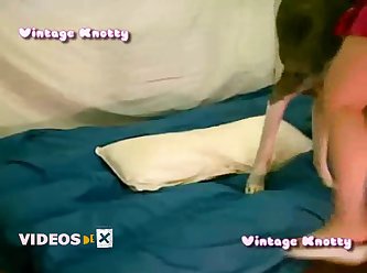 Teen Girl Animal Sex