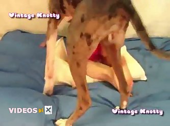 Teen Girl Animal Sex