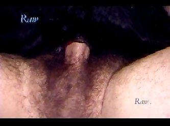 Sex With Animal Sex Videos