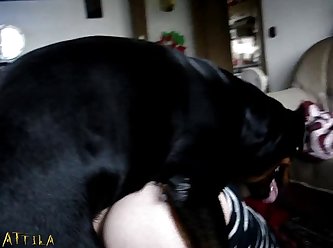 Animal Sex Force