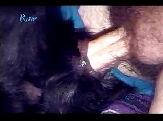 Sex With Animal Sex Videos