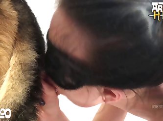 Free Xxx Animal Sex