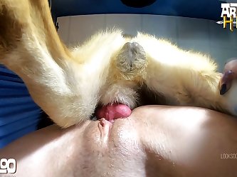 Free Xxx Animal Sex