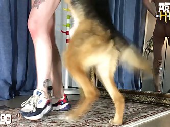 Free Xxx Animal Sex