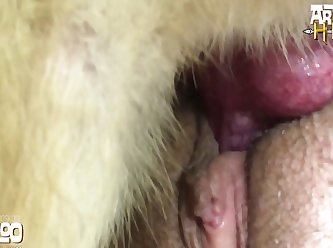 Free Xxx Animal Sex