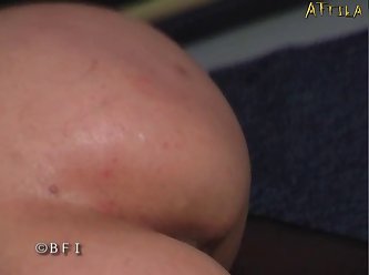 8.27in Odd Weird Sm Dildo Animal Sex Toy Old Tree