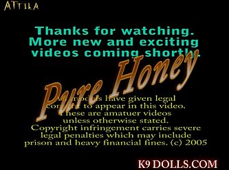 Zoo Porn Telegram Links