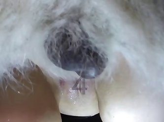 Skyrim Animal Sex Vid