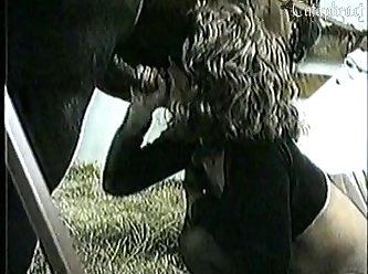 Cow Anal Zoo Porn