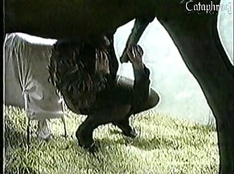 Cow Anal Zoo Porn