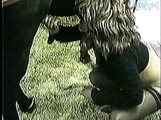 Cow Anal Zoo Porn