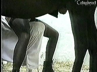 Cow Anal Zoo Porn